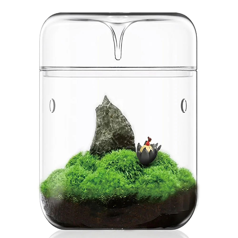 Dew Collection Glass Terrarium Vase