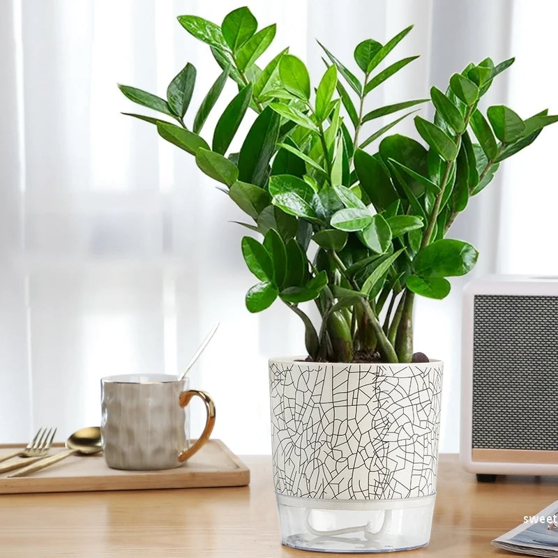 Self Absorbent Hydroponic Flowerpot