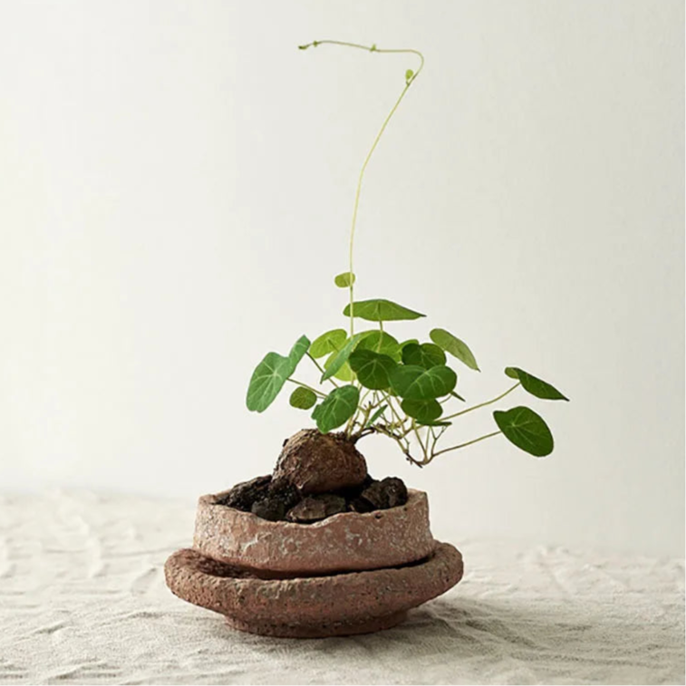 Rough Pottery Flower Vase