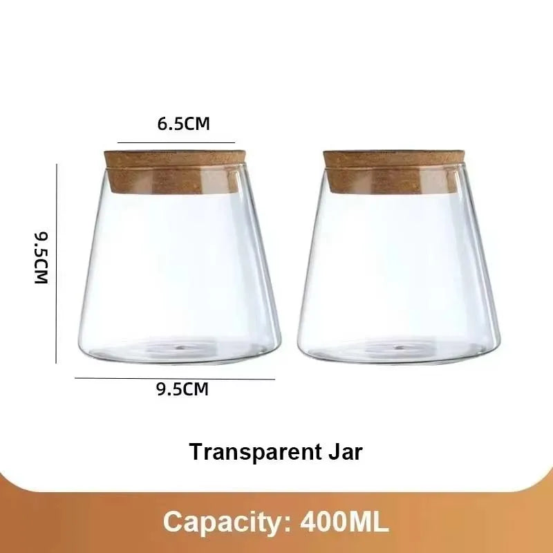Hydroponic Glass Flower Pots Set