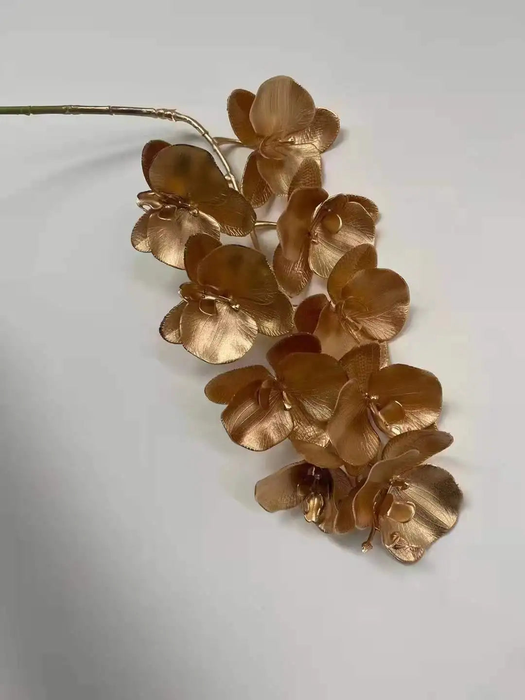 Gold Eucalyptus Ginkgo Leaf