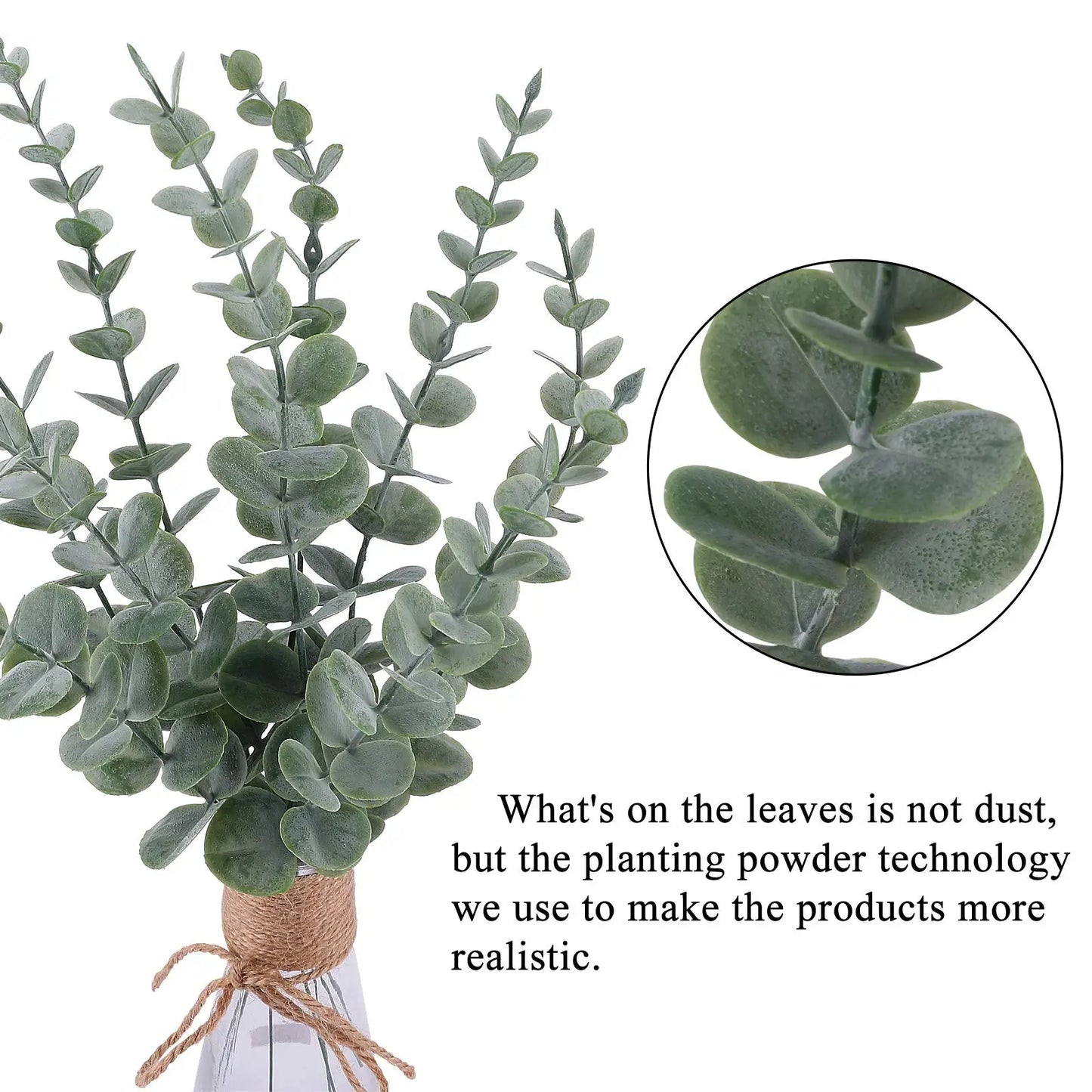 Eucalyptus Leaves Branches