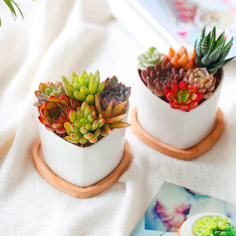 Eco Friendly Mini Bamboo Tray For Cups And Coasters