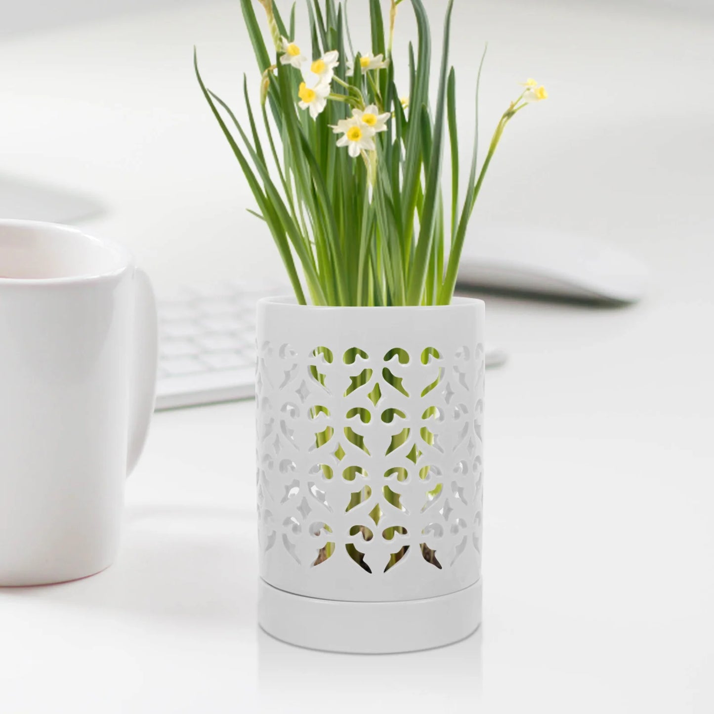 Orchid Pot Planter Ceramic Flower Pot