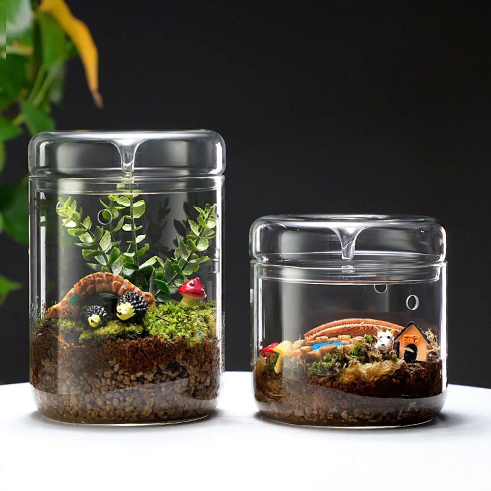 Enhance your space with the Glass Bottles Creativity Dew Collection Glass Vase, perfect for micro landscapes and succulent home decor.