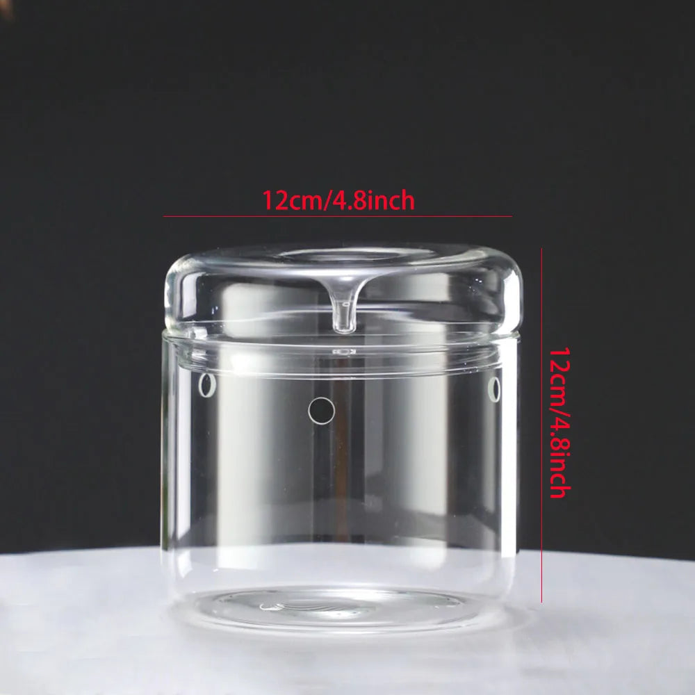 Dew Collection Glass Terrarium Vase