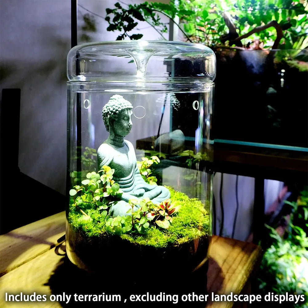 Dew Collection Glass Terrarium Vase