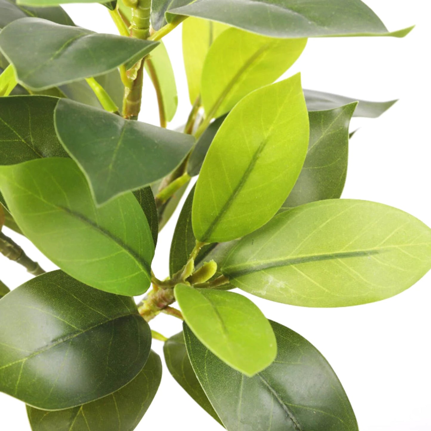 Fake Ficus Tree for Home Decor