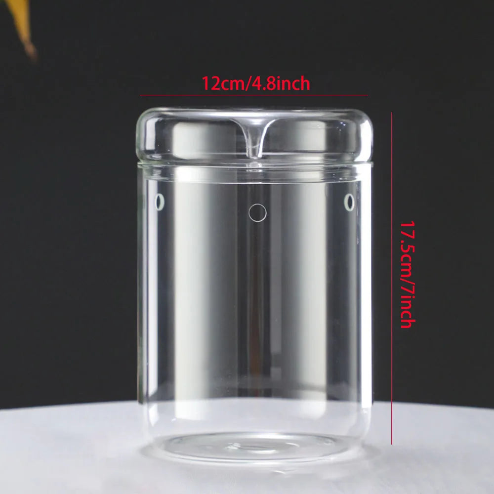 Dew Collection Glass Terrarium Vase