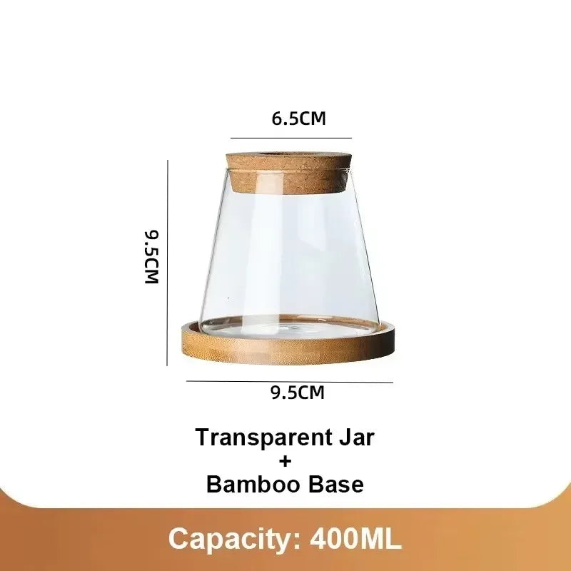 Hydroponic Glass Flower Pots Set