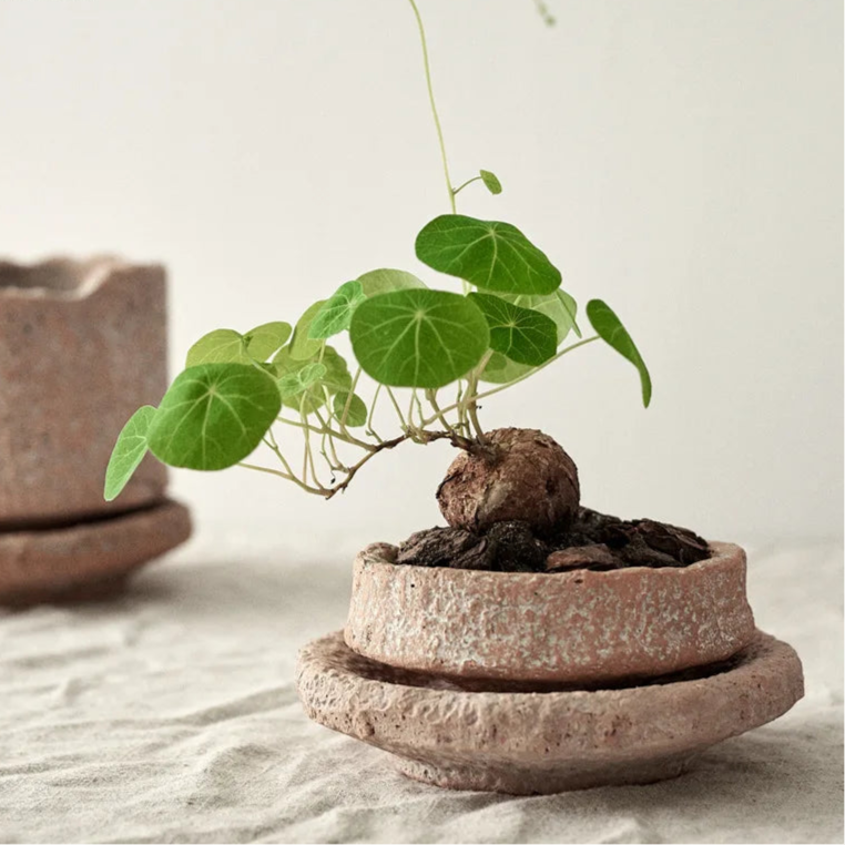 Rough Pottery Flower Vase