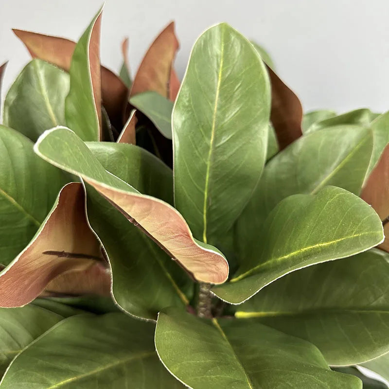 Artificial Magnolia Leaf Branches