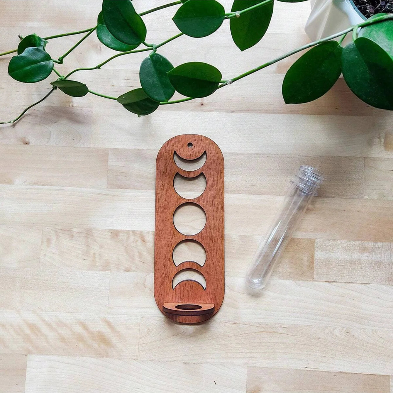 Wooden Wall Hanging Plant Shelf