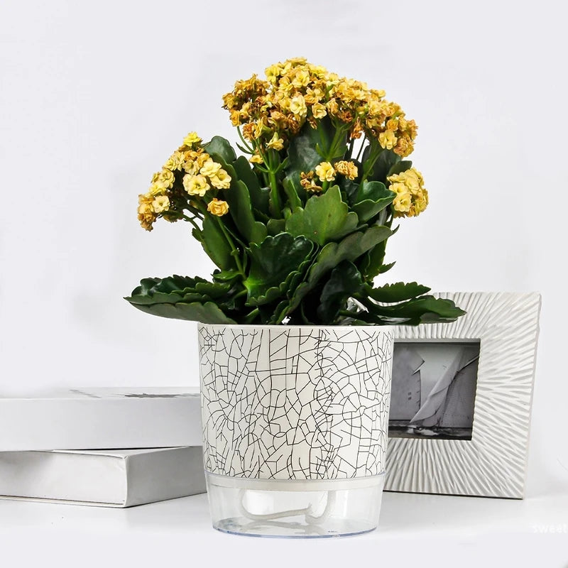 Self Absorbent Hydroponic Flowerpot
