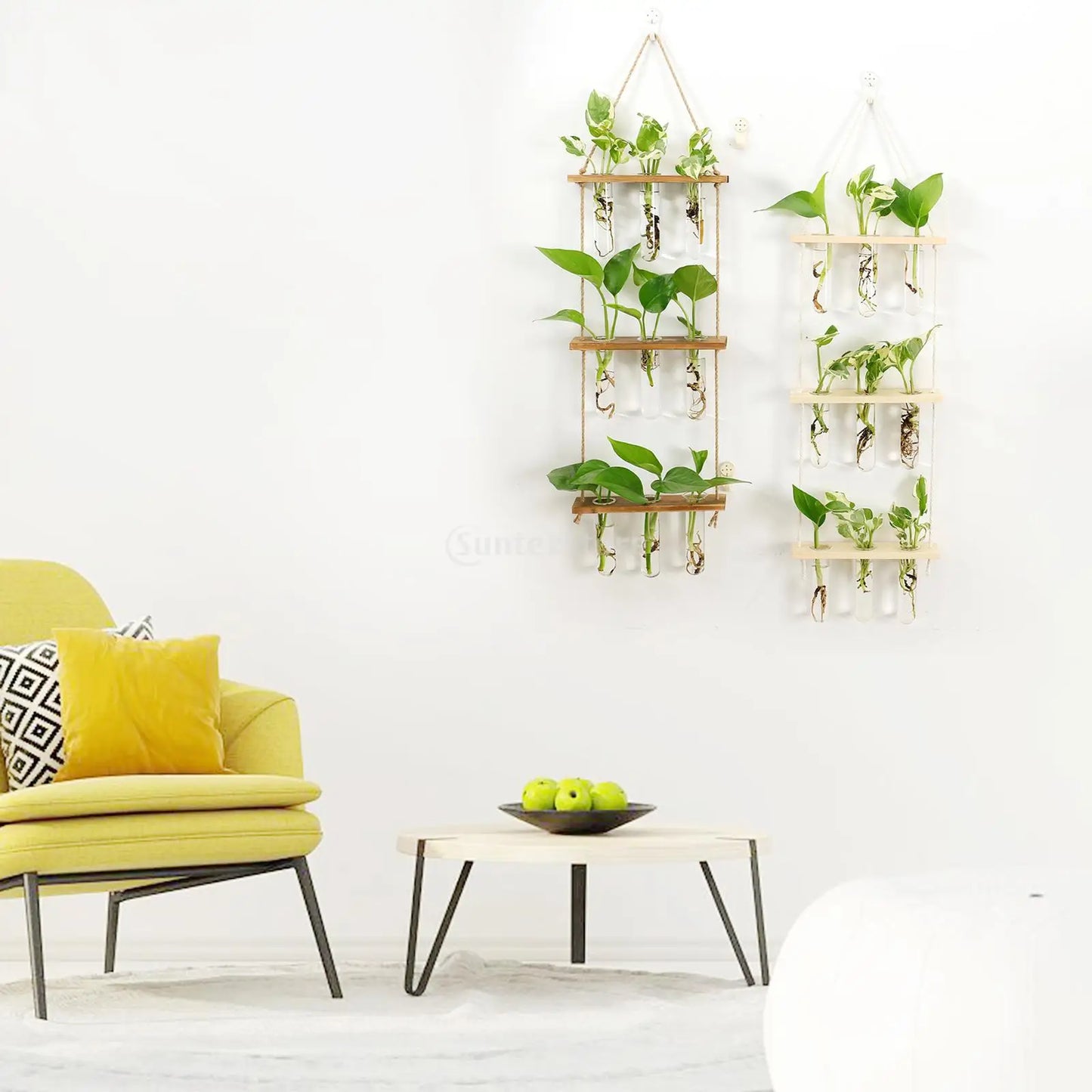 Wall Hanging Glass Terrarium with Wooden Holder