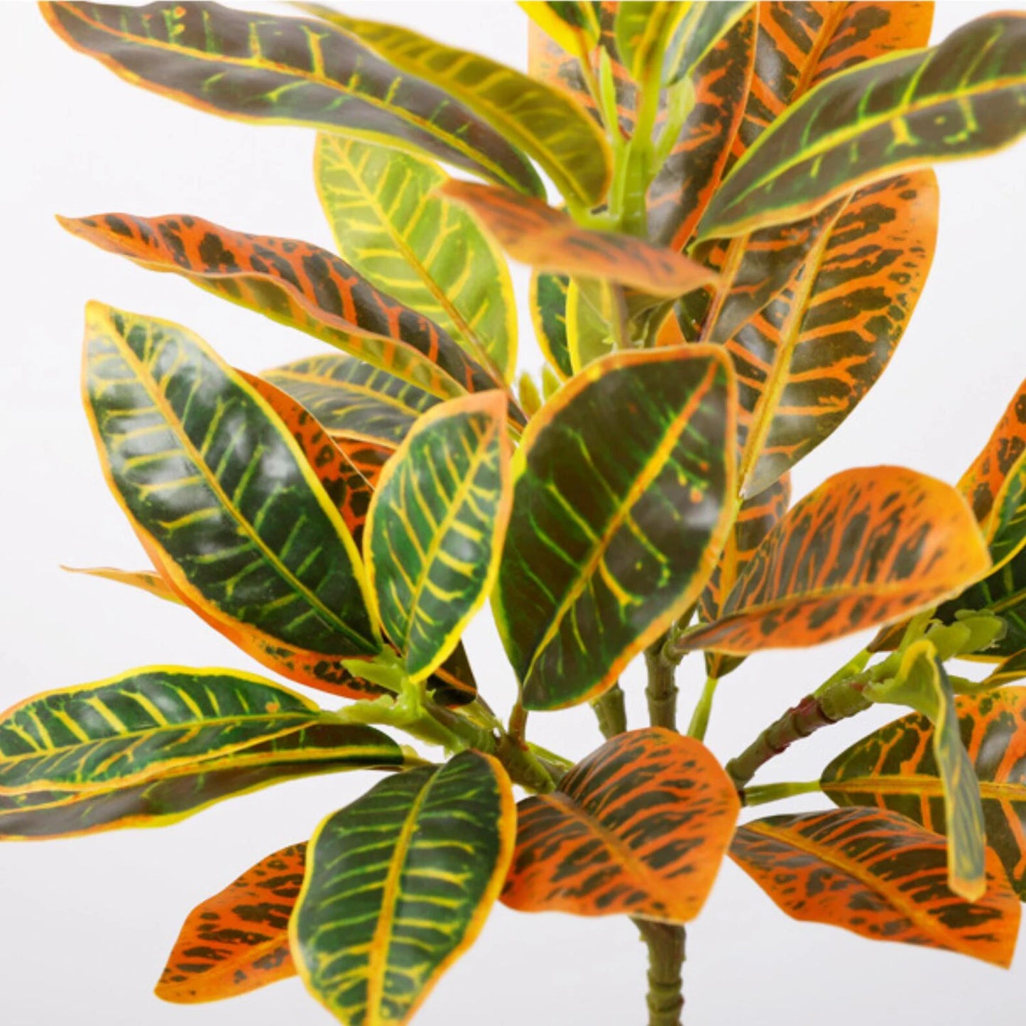 Fake Ficus Tree for Home Decor