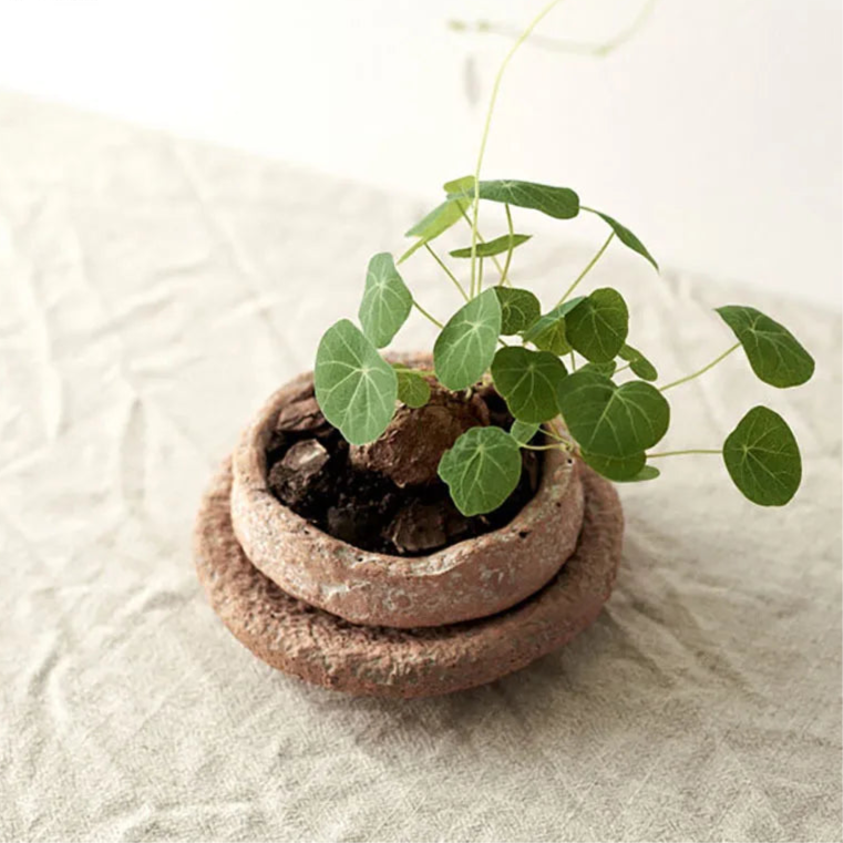 Rough Pottery Flower Vase