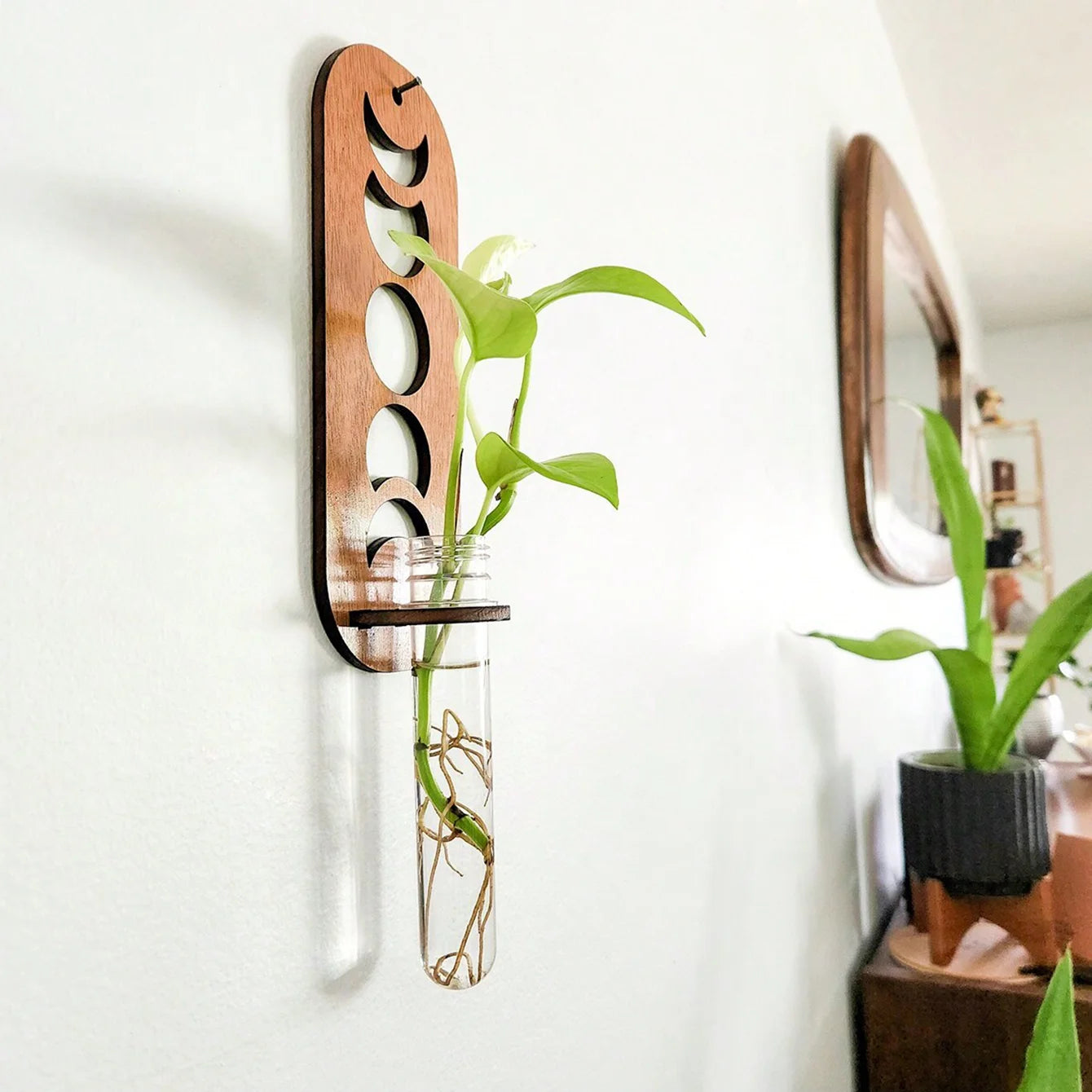 Wooden Wall Hanging Plant Shelf
