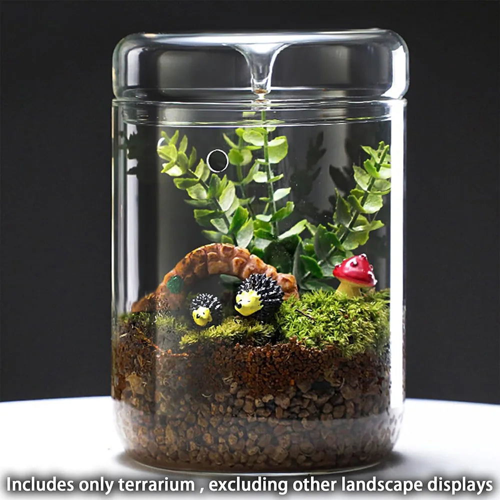 Dew Collection Glass Terrarium Vase