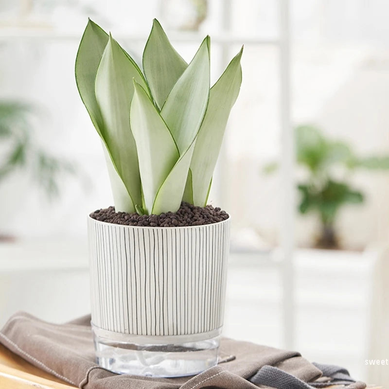 Self Absorbent Hydroponic Flowerpot