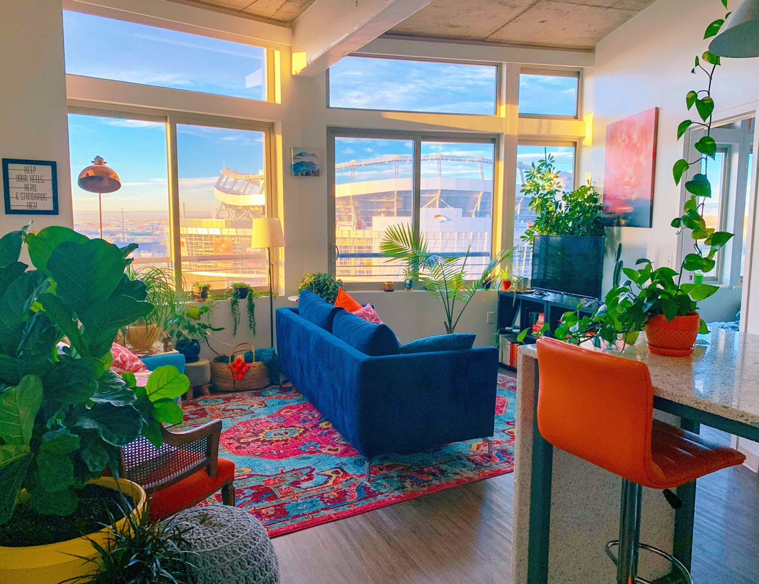 How a Splash of Color Transformed My Home: A Journey to a Brighter, Happier Space
