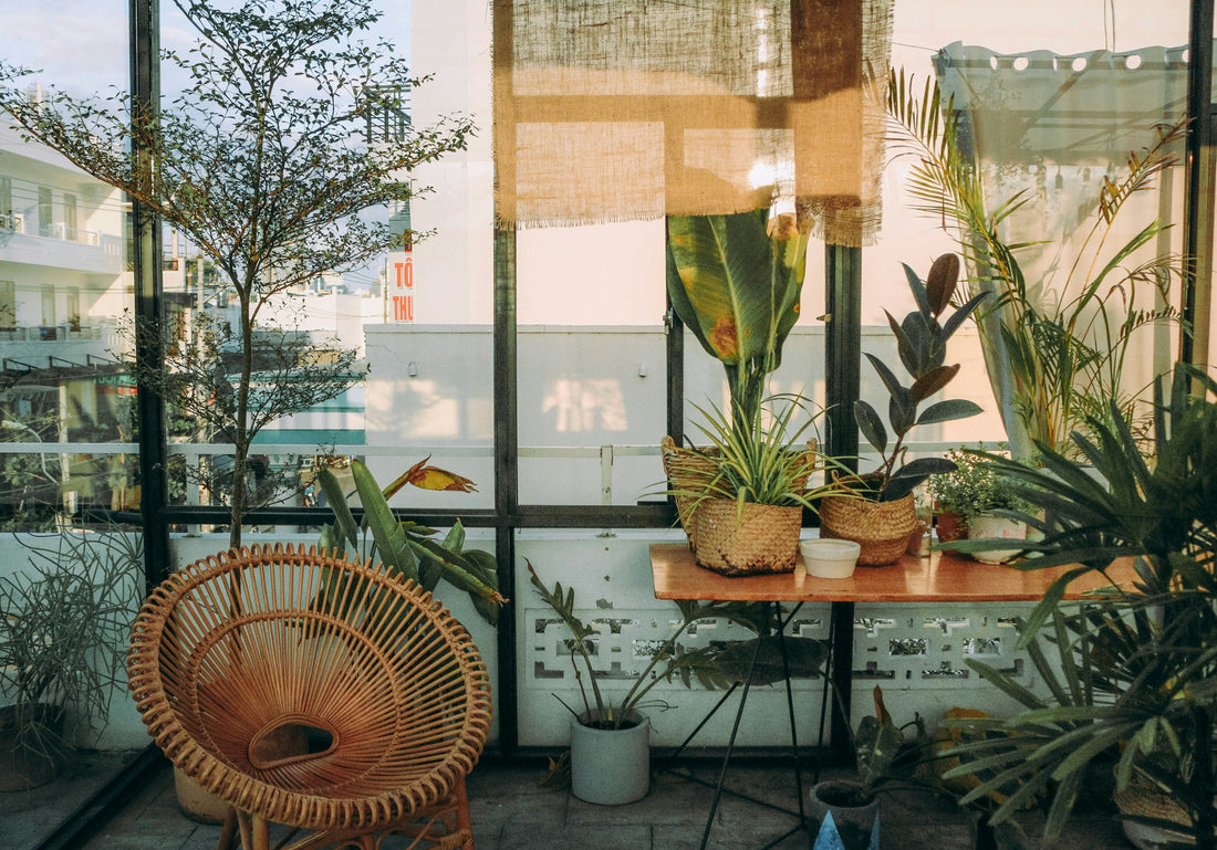 5 Expert Tips for Decorating Natural Elements