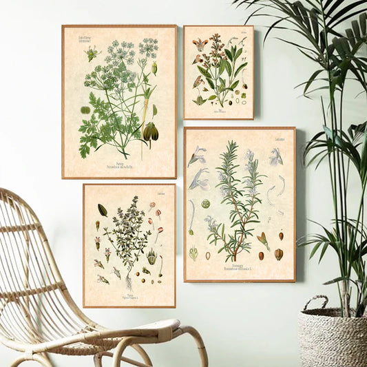 Vintage botanical canvas print featuring parsley, sage, rosemary & thyme—retro culinary wall art for kitchen, dining or living room; ideal chef gift.