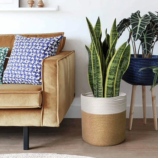 Discover the Cotton Rope Plant Basket, a large capacity hand-woven flower pot holder perfect for storing plants, toys, and clothes in style.