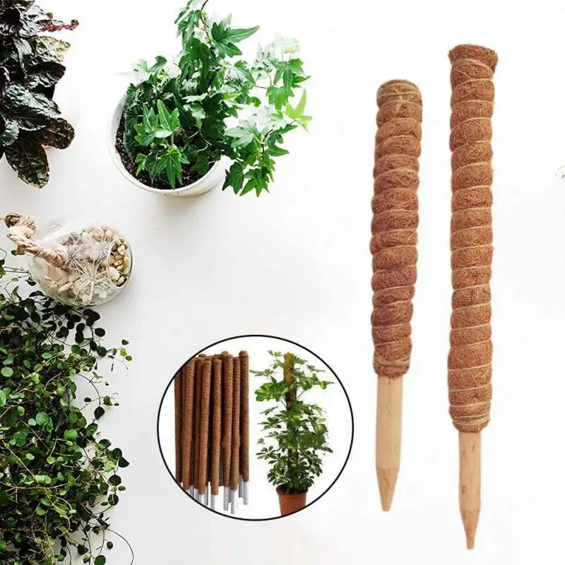 Coir Moss Plant Support Pole
