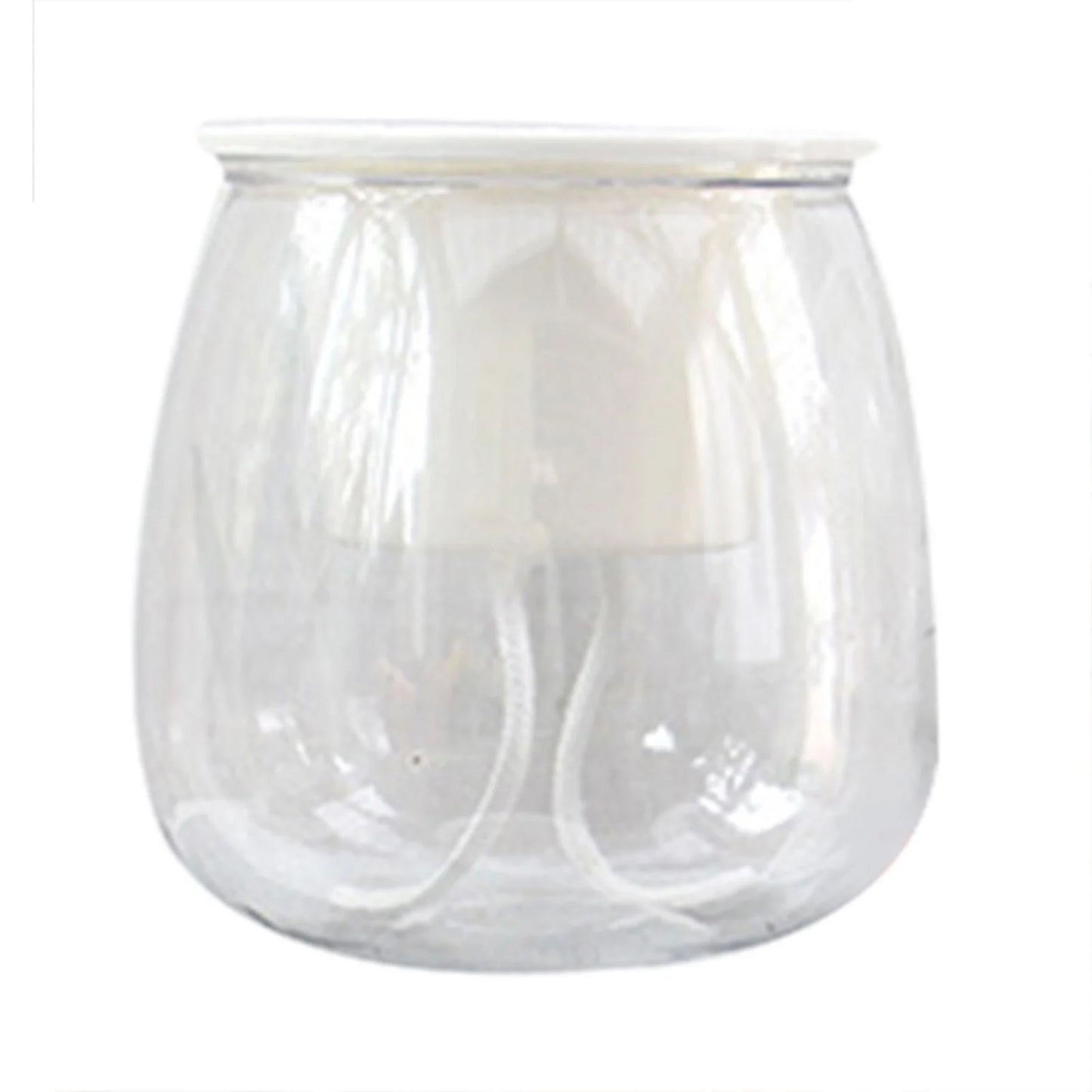 Transparent Self Watering Succulent Pot