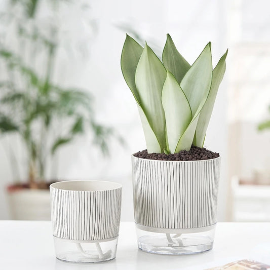 Discover the Self Absorbent Flowerpot Plastic Hydroponic Lazy Flowerpot for stylish water storage and modern home decor, perfect for desktop plants.