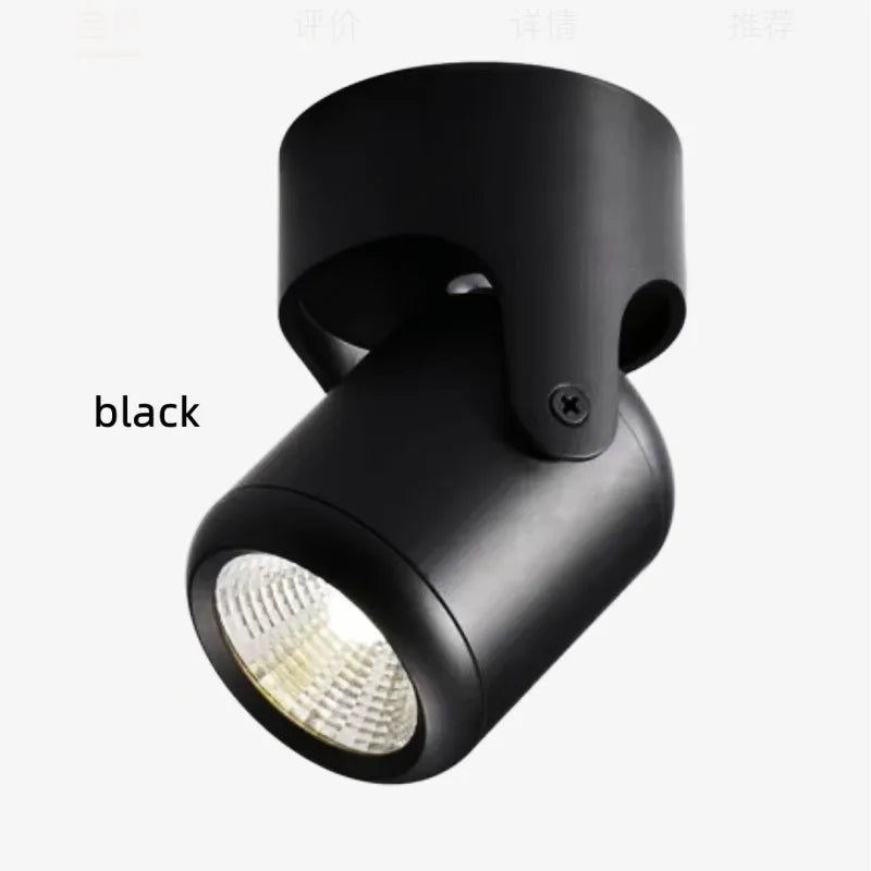 Dimmable Rotating Spotlight