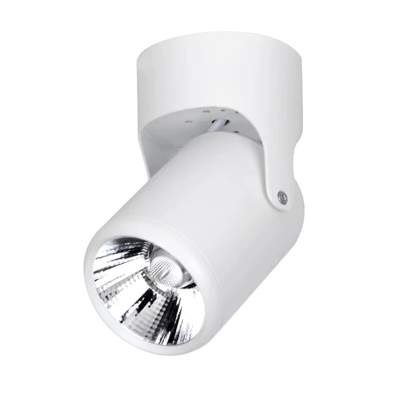 Dimmable Rotating Spotlight
