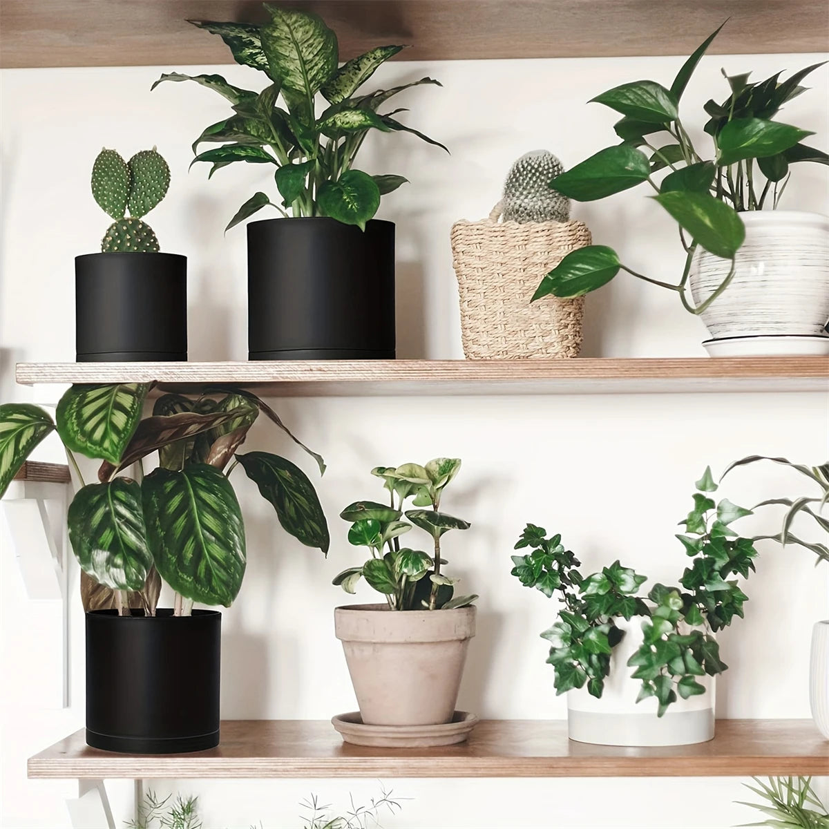 3 Plastic Planter Pots