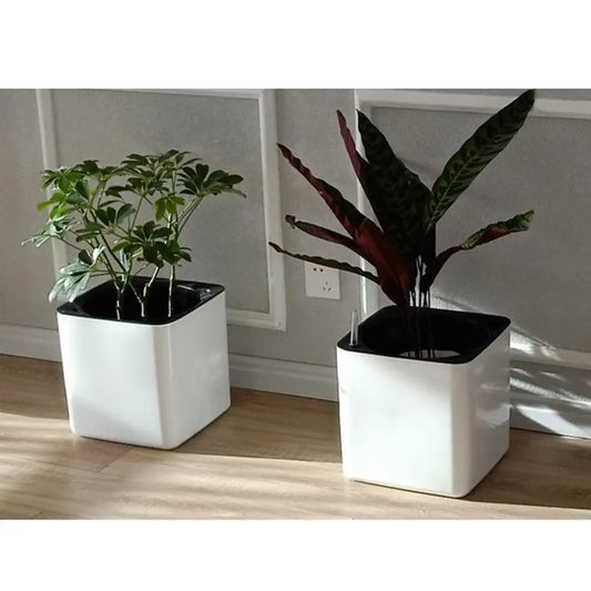 Self Watering Planter With Indicator
