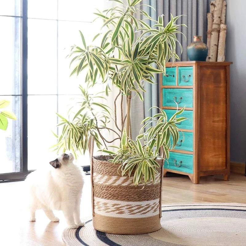 Handwoven Seagrass Planter