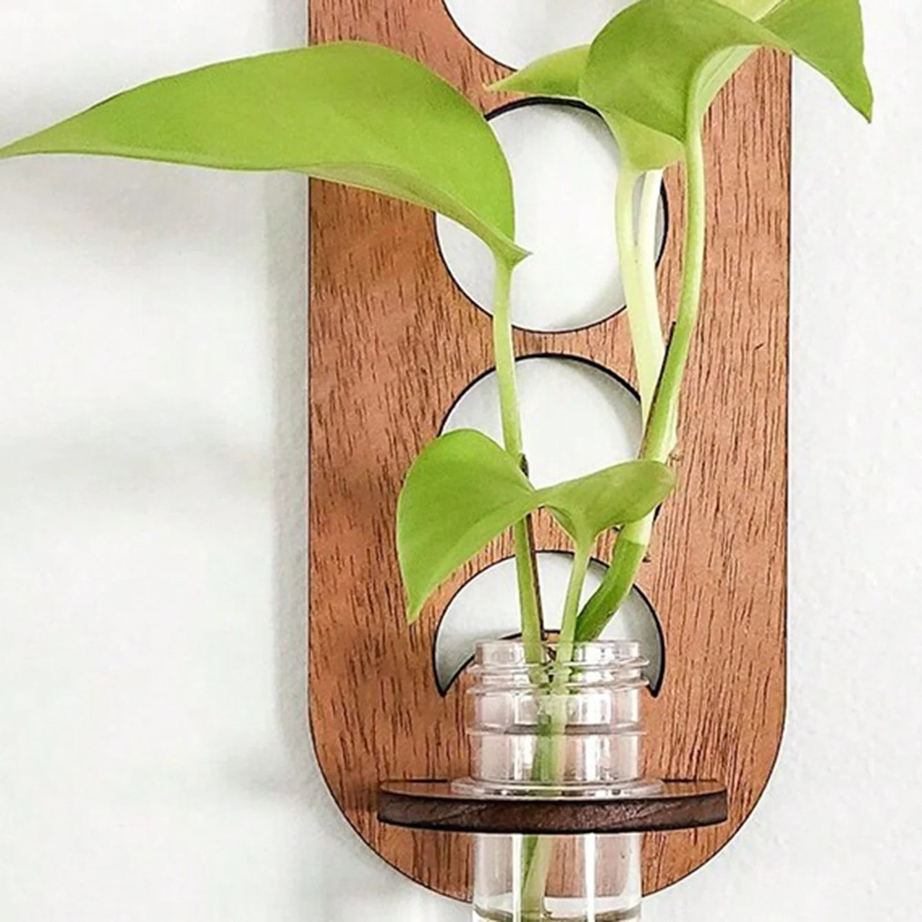Wooden Wall Hanging Plant Shelf