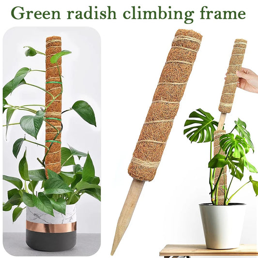 Coir Moss Plant Support Pole delivers truly durable coconut fiber plant support that retains moisture for thriving vines—shop now