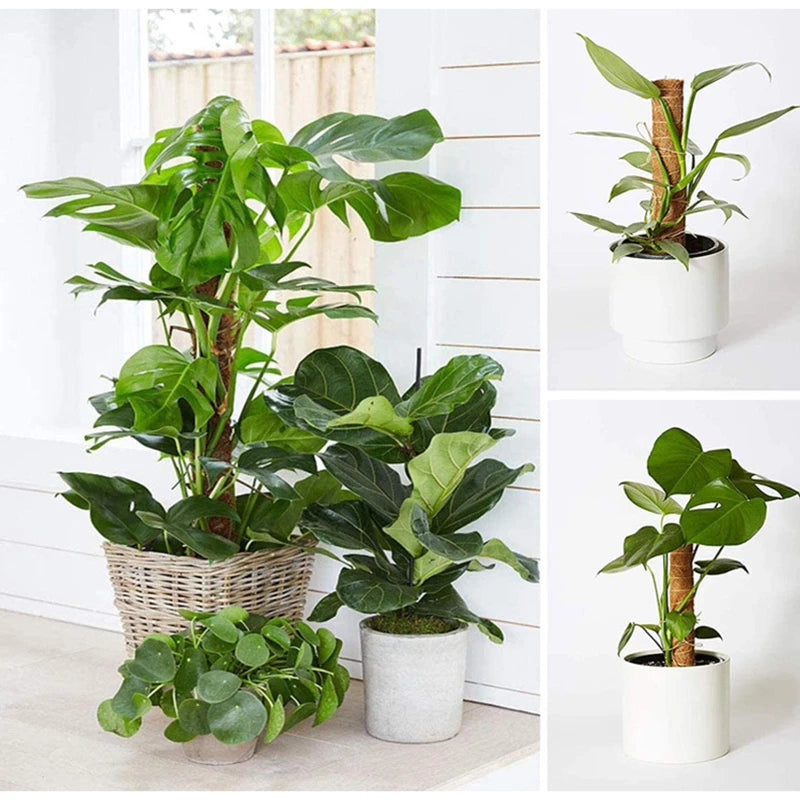 Coir Moss Plant Support Pole