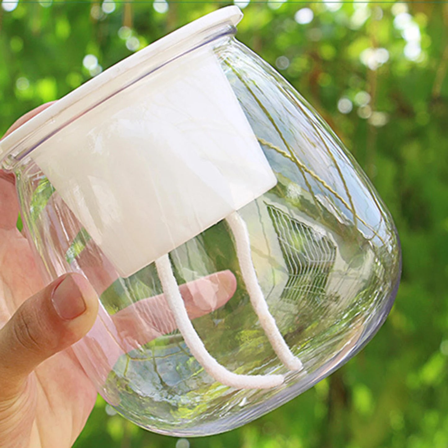 Transparent Self Watering Succulent Pot