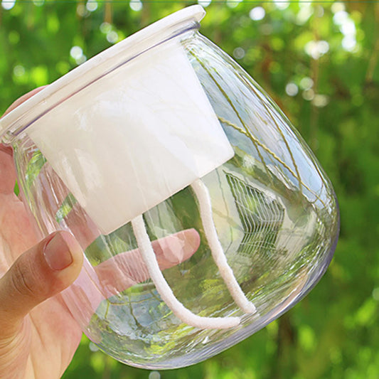 Transparent Self Watering Succulent Pot