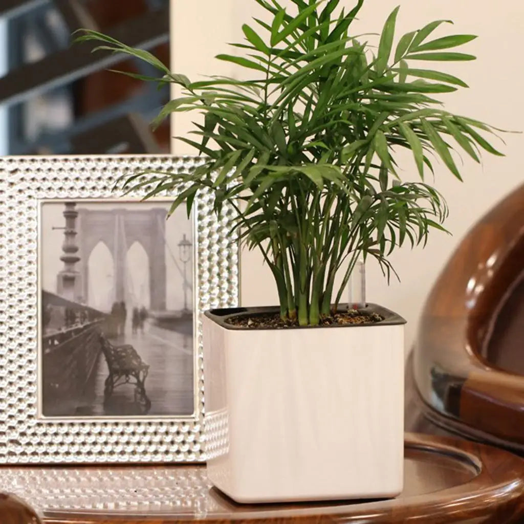 Self Watering Planter With Indicator