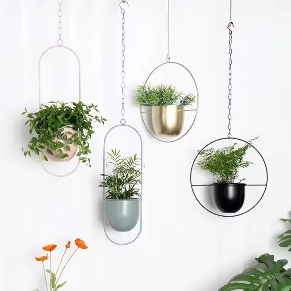 Plant Hanging Basket
