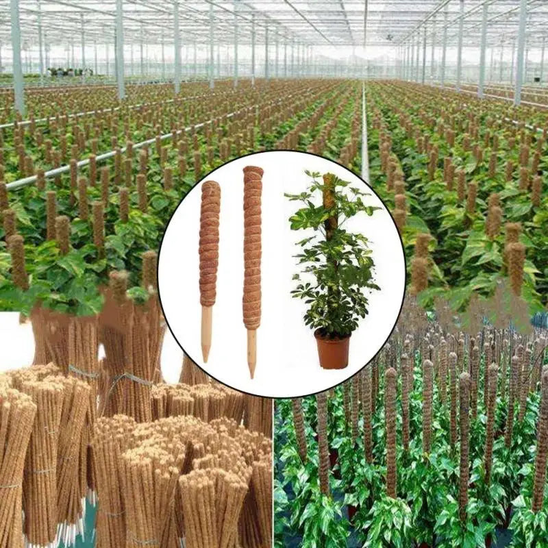 Coir Moss Plant Support Pole